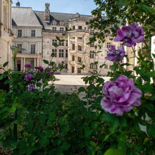 Les jardins du château royal de Blois
