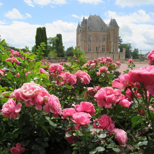 chateau de bellegarde roseraie 00001