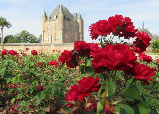 Les roseraies de Bellegarde & voyage à l’Arboretum de Barres