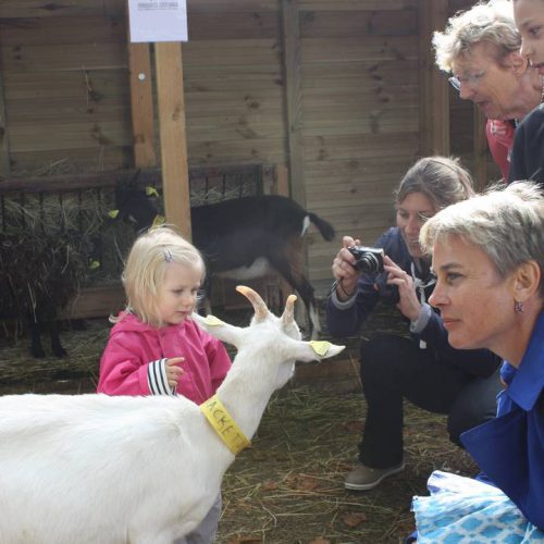 bergerie rambouillet 00003