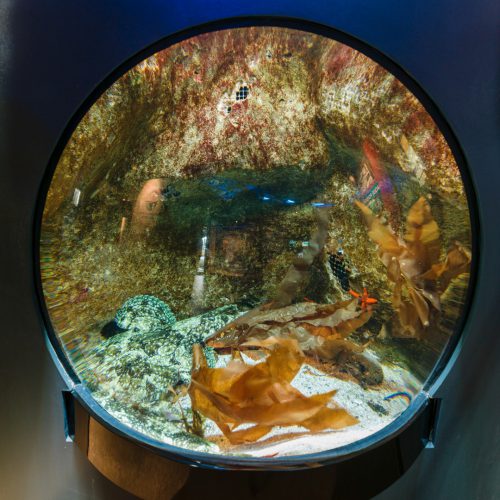 mareis le centre de la peche en mer 00002