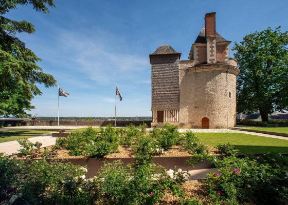 Un emblématique château de la Loire : château de Blois
