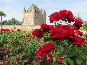 Les roseraies de Bellegarde & voyage à l’Arboretum de Barres