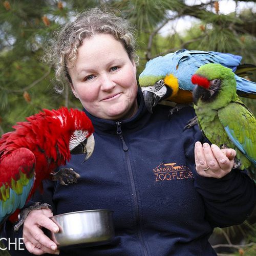 zoo de la fleche 00011