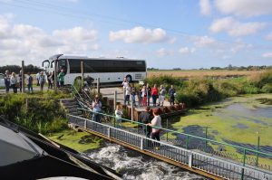 Chemins d’eau & culture des Racines de Chicorée