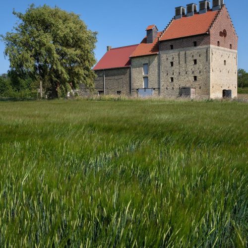 chemins d eau et culture des racines de chicoree 00002