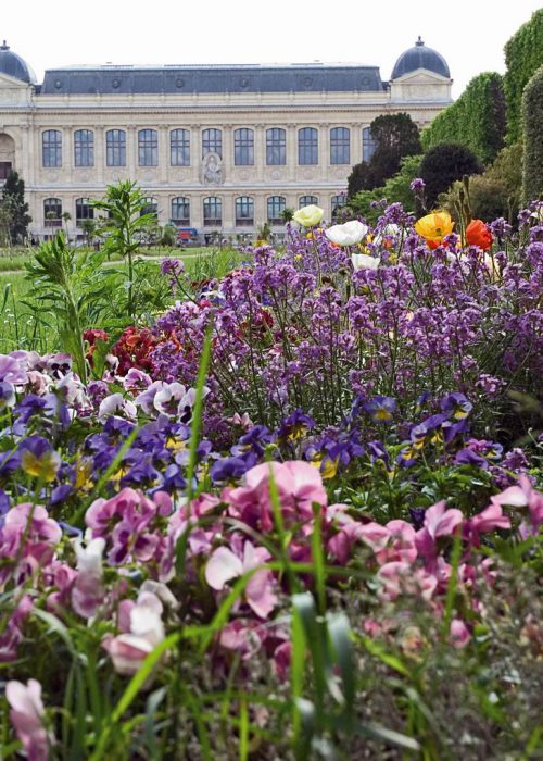 jardin_des_plantes_et_quartier_mouffetard_1920_00001