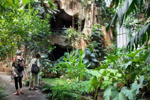 Promenade guidée du jardin des plantes à la place du Panthéon