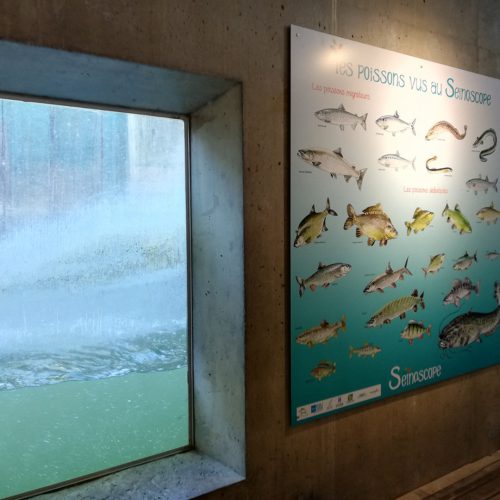 seinoscope et jardins animaliers biotropica 1920 00006